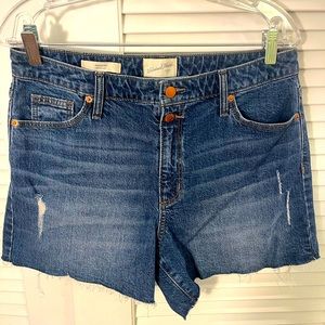 Universal Thread Denim Jean Shorts Size 10/30R